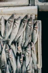 box of dead fish - Smelly Apartment? Here’s how to deodorize